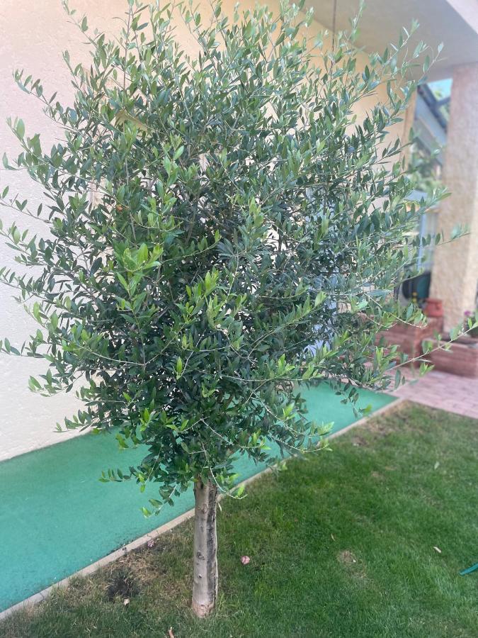Apartment Monpe Apartmanik S Atmosferou
